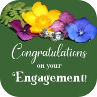 Congratulations for Engagement