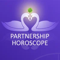 LiebesKlee - Couple Analysis