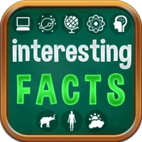 Interesting Facts